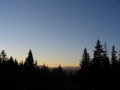 20080212-080532-viragtamas.jpg