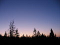20080213-072216-csomi.jpg