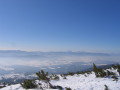20080213-122756-csomi.jpg