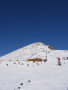 20080213-122816-csomi.jpg