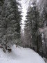 20080214-115626-csomi.jpg