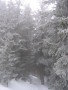 20080214-130026-csomi.jpg