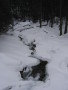 20080214-142658-csomi.jpg