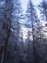 20080214-161822-csomi.jpg