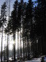 20080214-164822-csomi.jpg