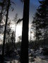 20080214-164926-csomi.jpg