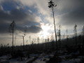 20080214-165430-csomi.jpg