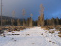 20080214-165442-csomi.jpg