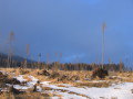 20080214-165828-csomi.jpg