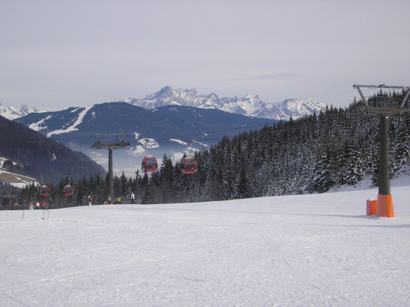 2010-01-23-29-008.jpg