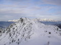 2010-01-23-29-050.jpg