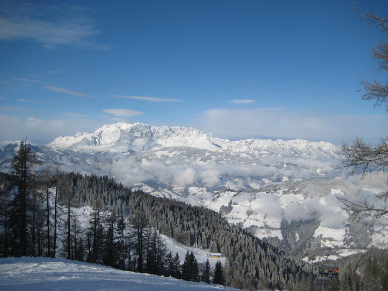 IMG-3577.JPG