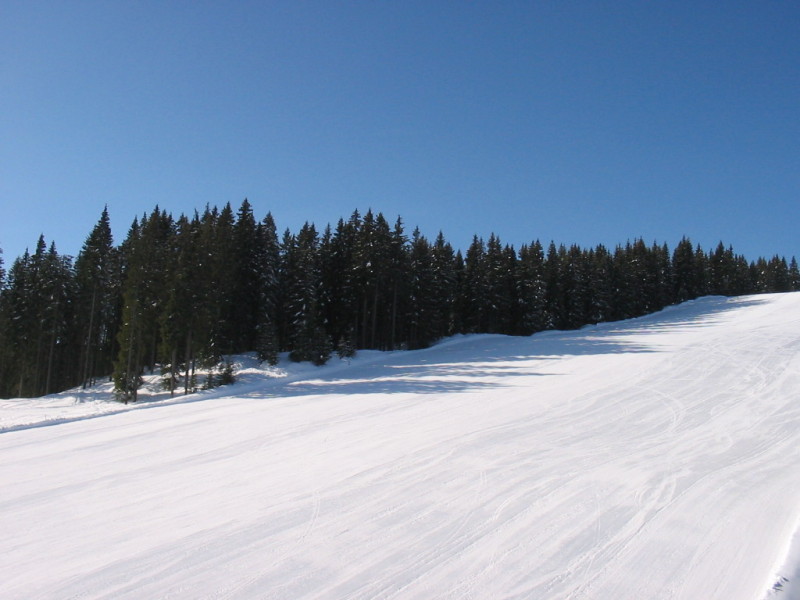 IMG-3270.jpg