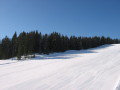 IMG-3270.jpg