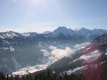IMG-3275.jpg