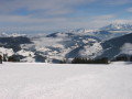 IMG-3281.jpg