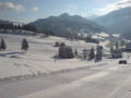 DSC01026.JPG