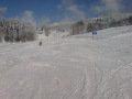 DSC01029.JPG