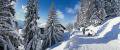 S�ta az Aletsch r�gi�ban
