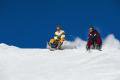 Snow cart