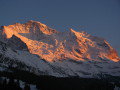 Sv�jc - Wengen 2010&nbsp;(16 k�p)