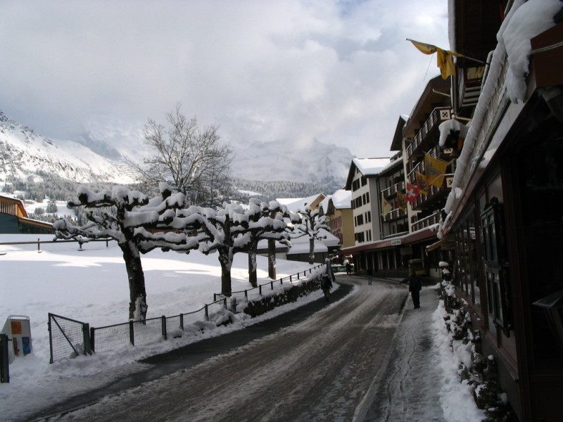 IMG_4678.JPG