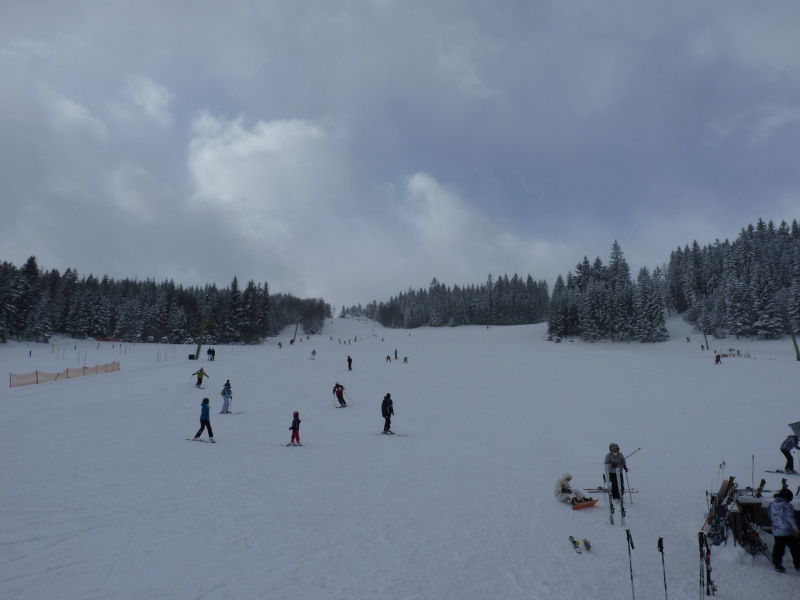 P1130841.JPG