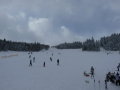 Wenigzell (Joglland)&nbsp;(5 k�p)