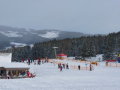 P1130866.JPG