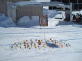 IMG-4611-resize.JPG