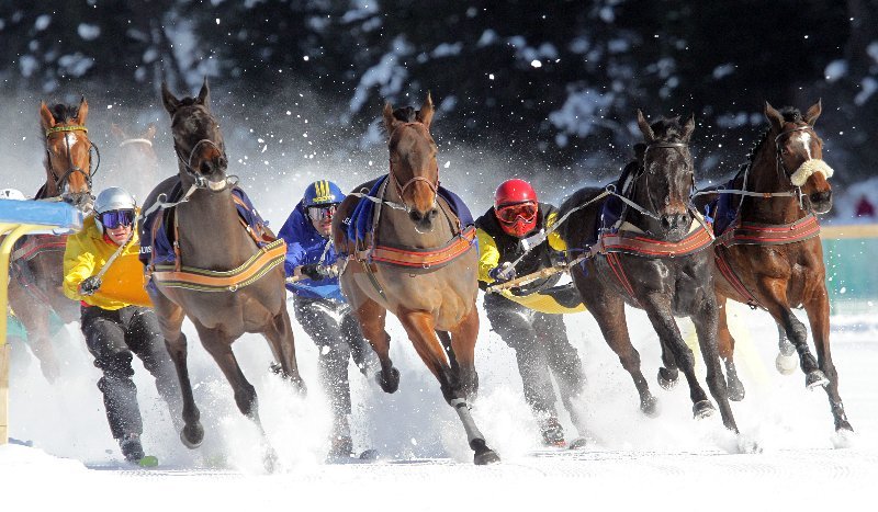 Copyright: swiss-image.ch/Photo by Andy Mettler