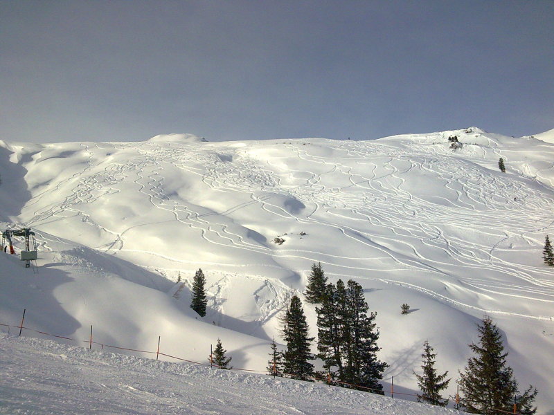 20100129-66.jpg