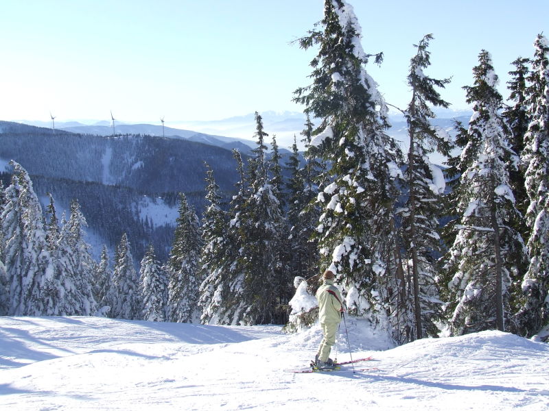 DSCF1179.JPG