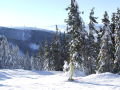 Zakopane �s k�rny�ke - 2009