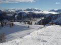 DSC01350.JPG
