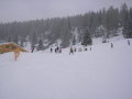 2010-01-23-29-082.jpg