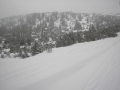 2010-01-23-29-102.jpg