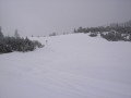 2010-01-23-29-103.jpg
