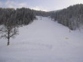 2010-01-23-29-134.jpg