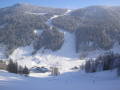 2010-01-23-29-169.jpg