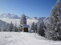 2010-01-23-29-187.jpg