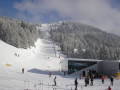 2010-01-23-29-324.jpg
