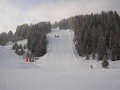 2010-01-23-29-335.jpg