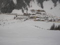 2010-01-23-29-345.jpg