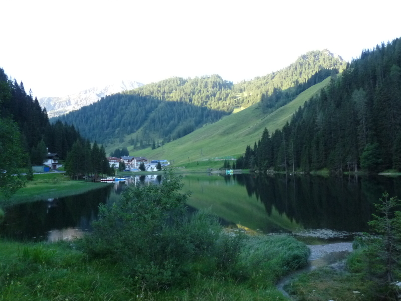 P1010006.JPG