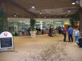 2010-flachauwinkl-1.jpg