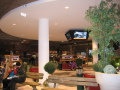 2010-flachauwinkl-2.jpg