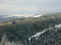 21032009137-1.jpg