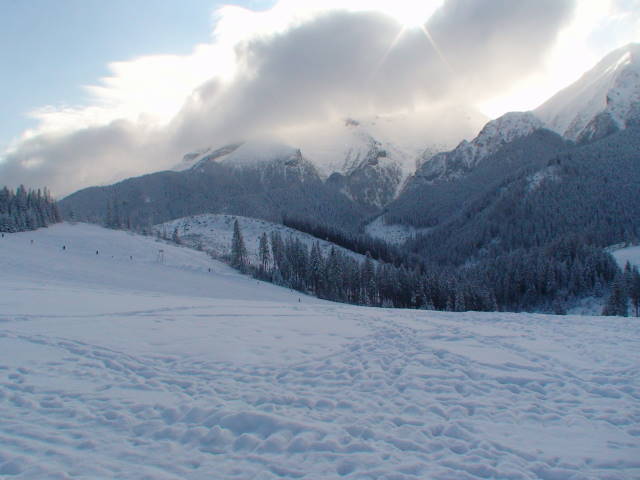 DSC00488.jpg