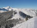 IMG-8269-1.JPG